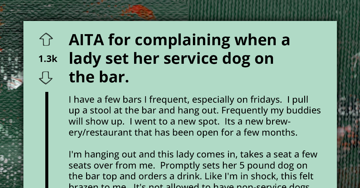 Furious Bar Hopper Tackles Dog Mom For Casually Placing Her Service Dog On Bar Counter