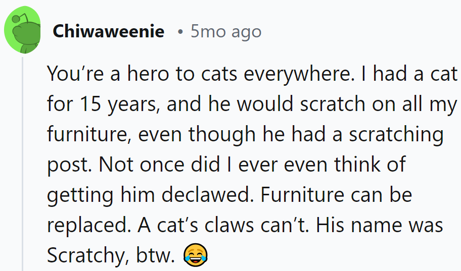 Kudos to Scratchy, the rebel with a cause! Furniture's replaceable, but those claws? Priceless!