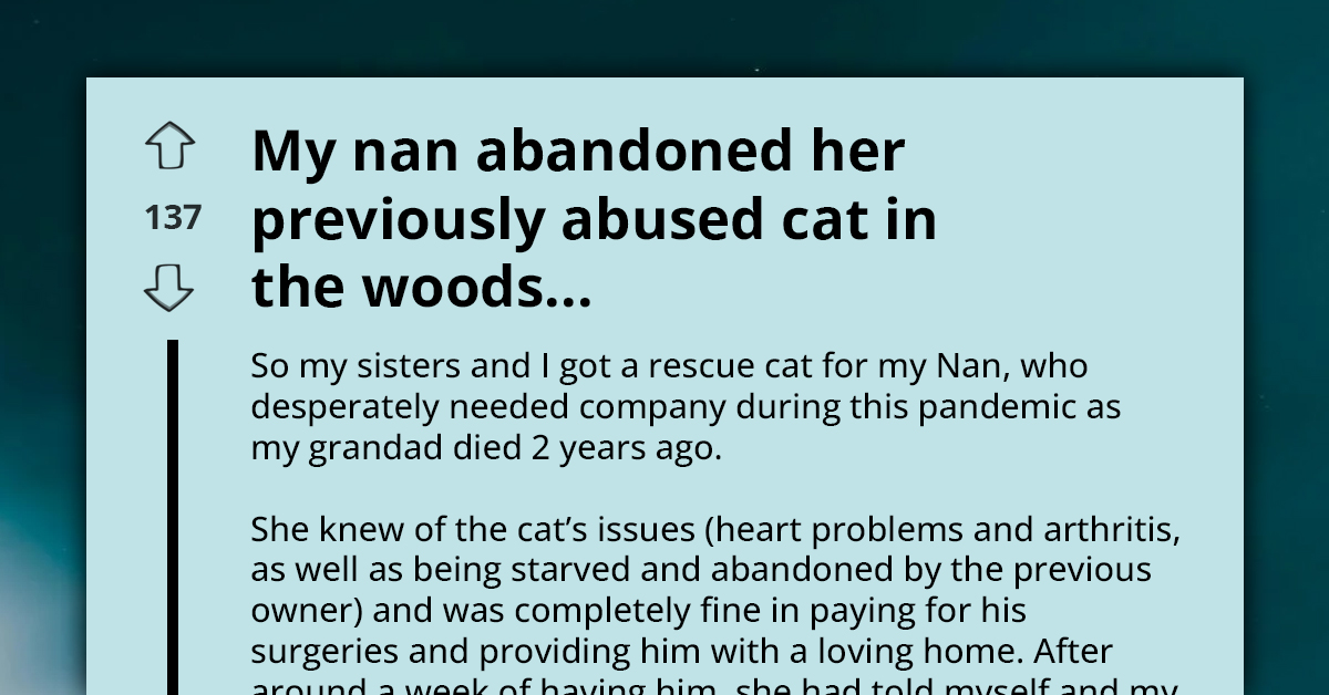Redditor Shares Harrowing Experience of Discovering Their Grandma’s Cruel Abandonment of a Previously Abused Cat