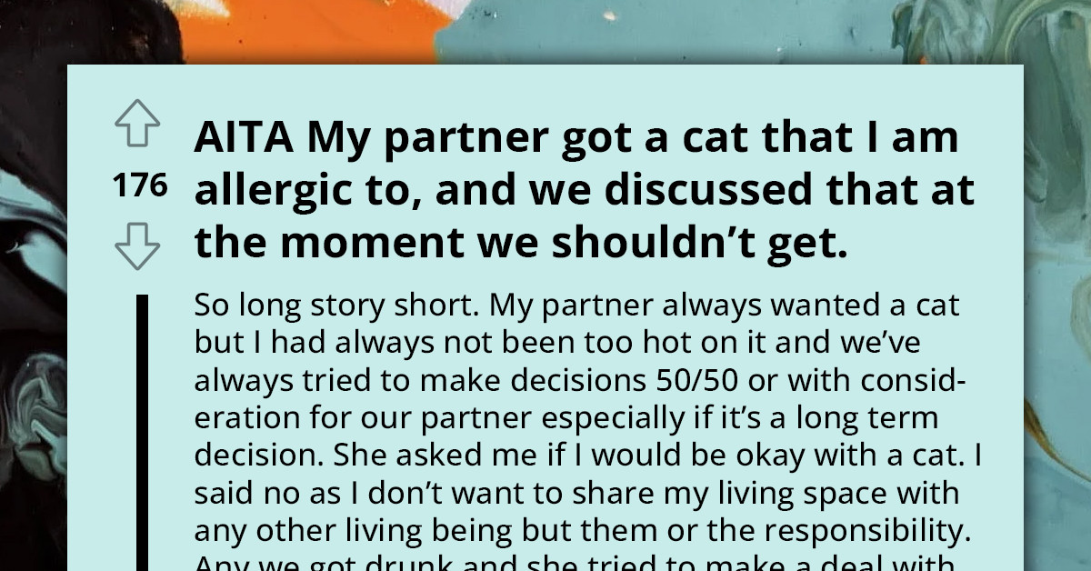 Allergic Redditor's Quality of Life Affected After Girlfriend Got Two Felines; He Wants to Let the Cats Go, but He Loves His Girlfriend