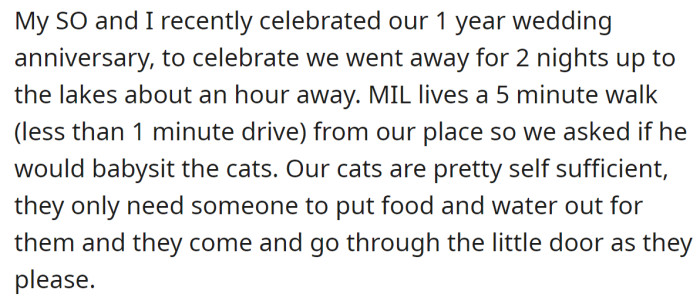 The OP said they asked her MIL to look after their cats for two days: