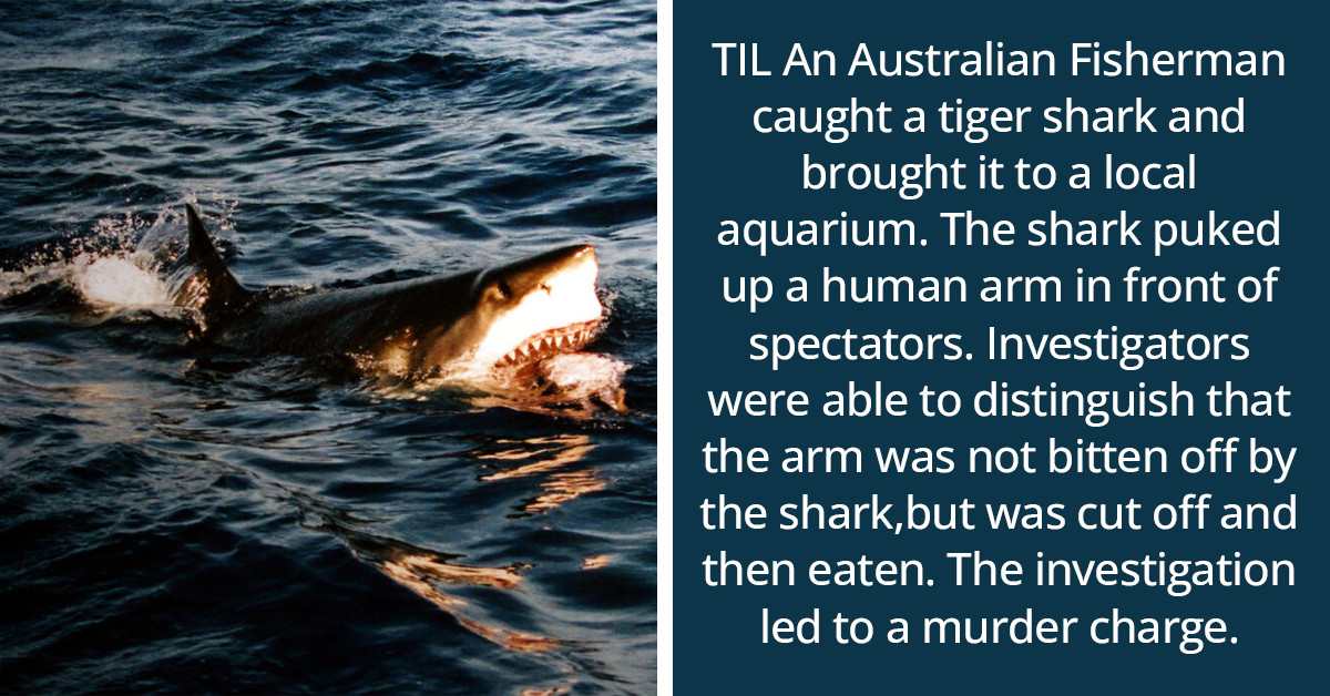 35 Times People Shared Their "Today I Learned" Facts And They Are Both Shocking And Informative