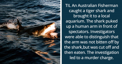 35 Times People Shared Their "Today I Learned" Facts And They Are Both Shocking And Informative