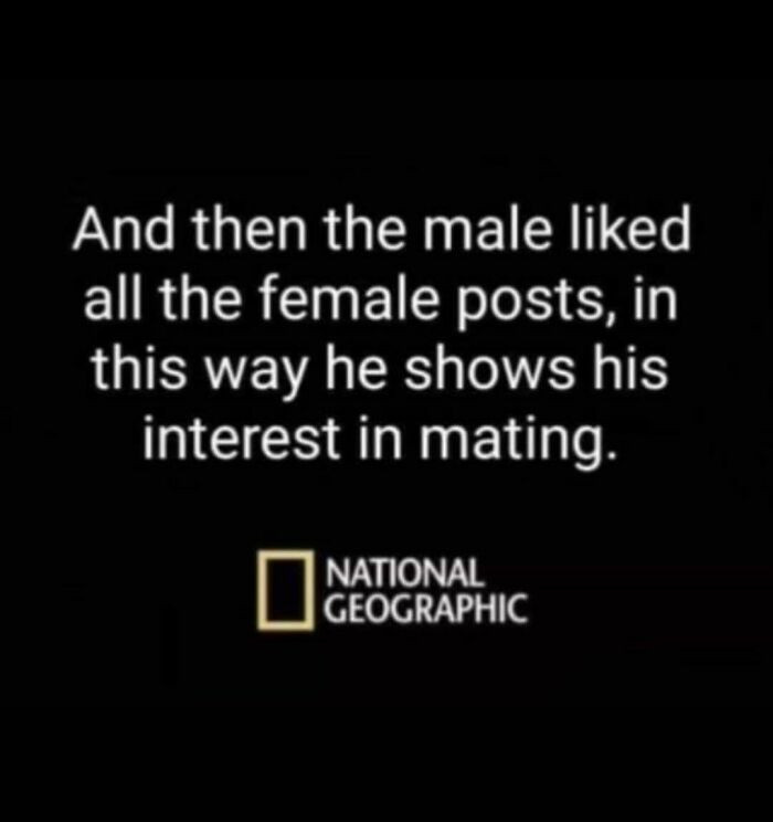 12. If Nat-Geo filmed current-day human romance