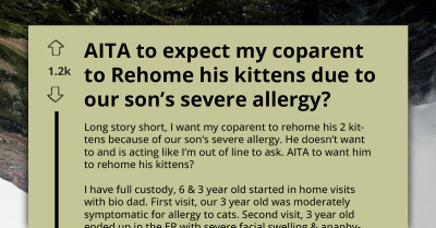 Coparent Is Asked To Rehome His Kittens Due To Son’s Severe Allergy, AITA To Expect It?