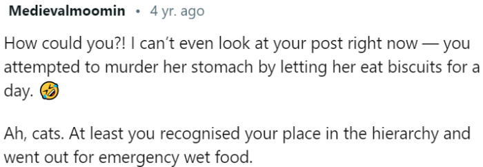 Cat's Biscuit-Only Day Sparks Humor