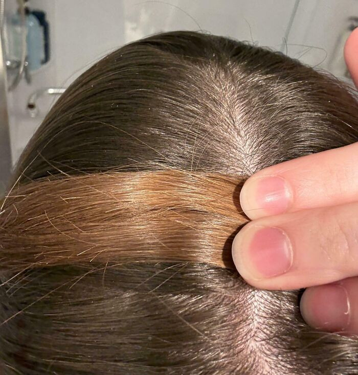 "Roots vs. Ends Of My Uncolored Hair"