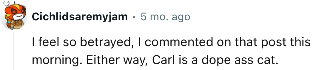 It hurts to believe something so sweet, only for it to turn out fake