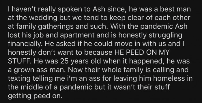 OP's whole family started calling and criticizing her for not taking her BIL in.