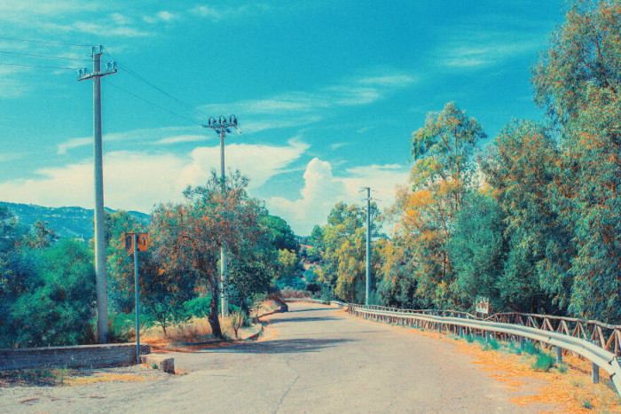 8. The awesome greenery