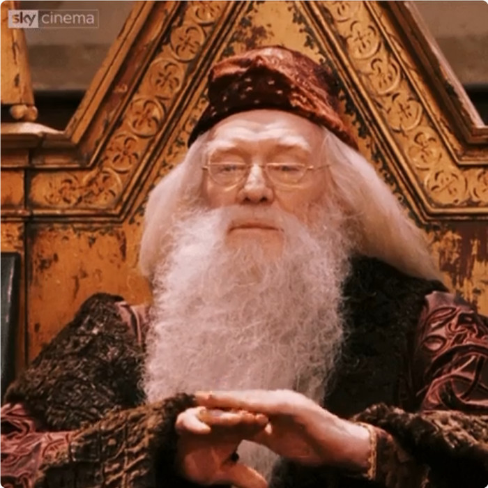 1. At the end of the Sorcerer’s Stone, Dumbledore gave enough points for Gryffindor to win the House Cup.