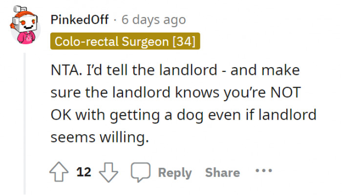 It’s all about consideration. Considering others’ conditions and the legal terms, even if the owner might be willing to allow pets.