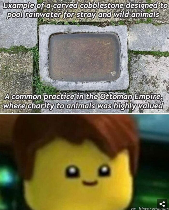 36. A carved cobblestone designed to pool rainwater for stray and wild animals