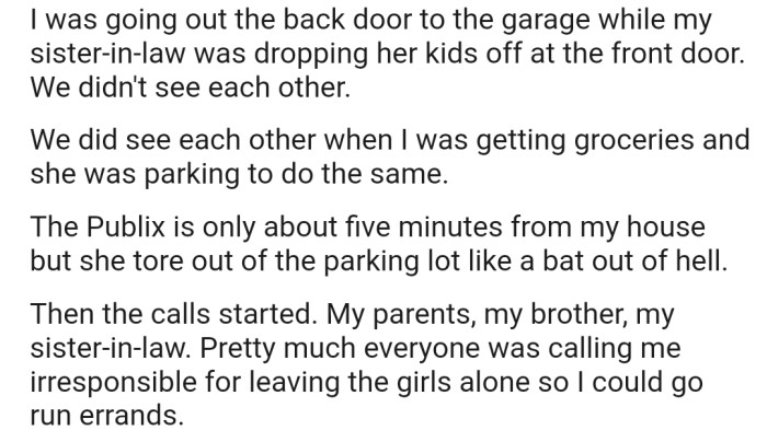OP headed to the grocery store, where she bumped into her SIL. At this point, her SIL realized that no one was watching her kids at home, prompting her to dash out of the parking lot in fear. It wasn't long before OP's phone started blowing up with calls from her brother, SIL, and mom, accusing her of being irresponsible for leaving the kids alone at home.
