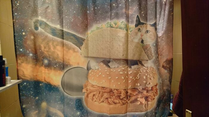 "Moved In With My Girlfriend, This Is The Shower Curtain In Our New Apartment That She Brought With Her"