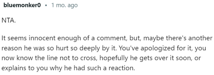 OP has apologized, so he should get over it....