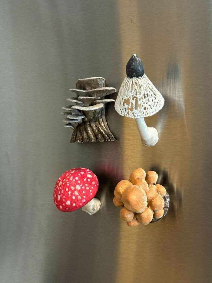 "Check Out My Printing Mushroom😜"