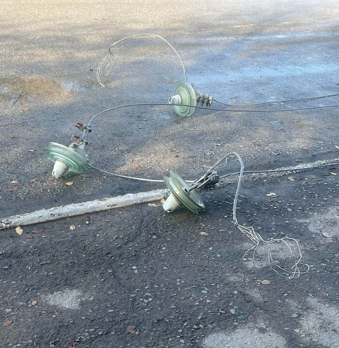 "I Was On My Way To College And It Fell Right In Front Of Me"