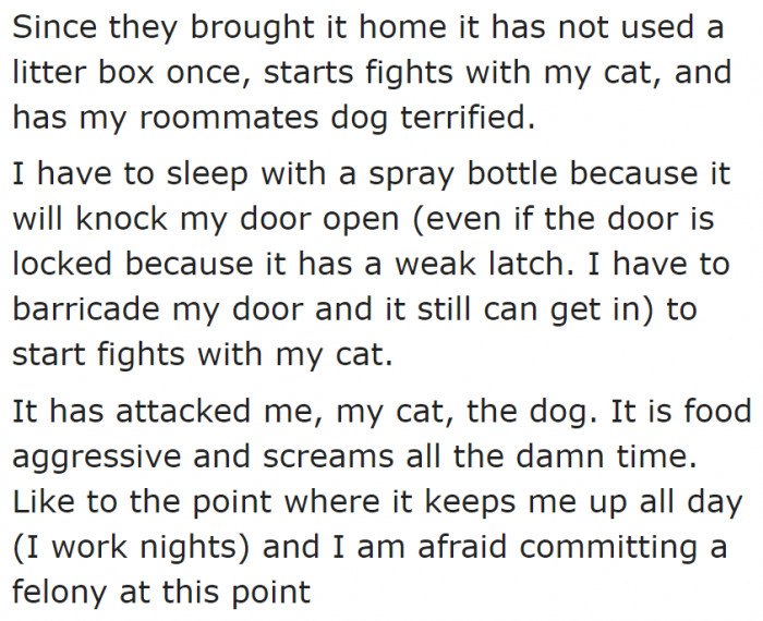 The cat became a problem for the OP and their other roommate.