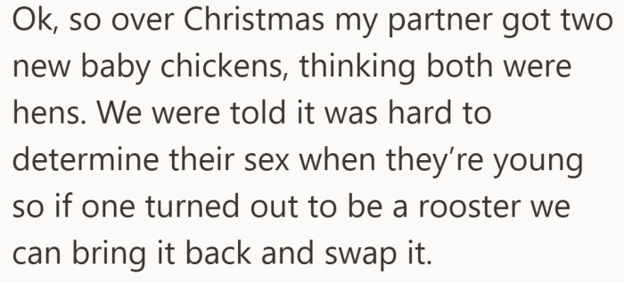 At the beginning, everything sounds reasonable and temporary, which is often how the messiest situations start.