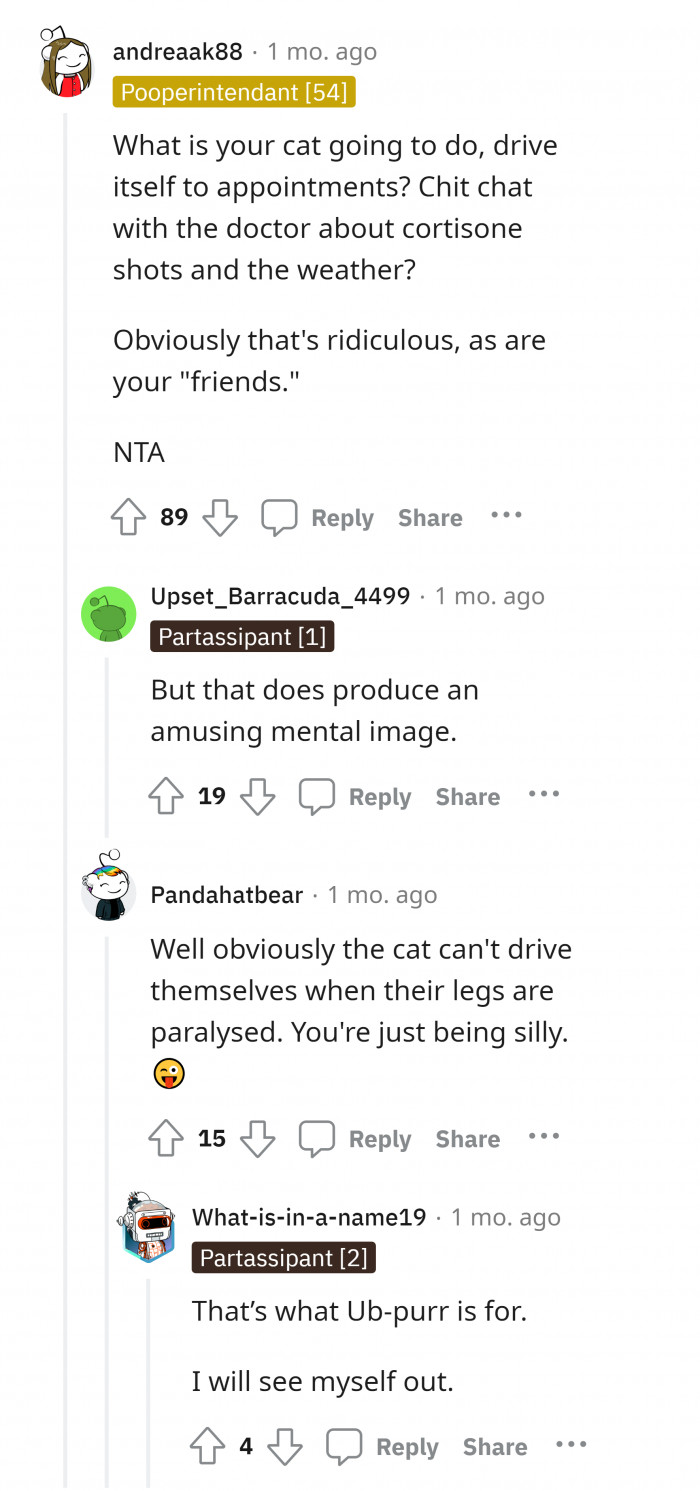 Ensuring the health of my cats is as important as paying my bills on time.