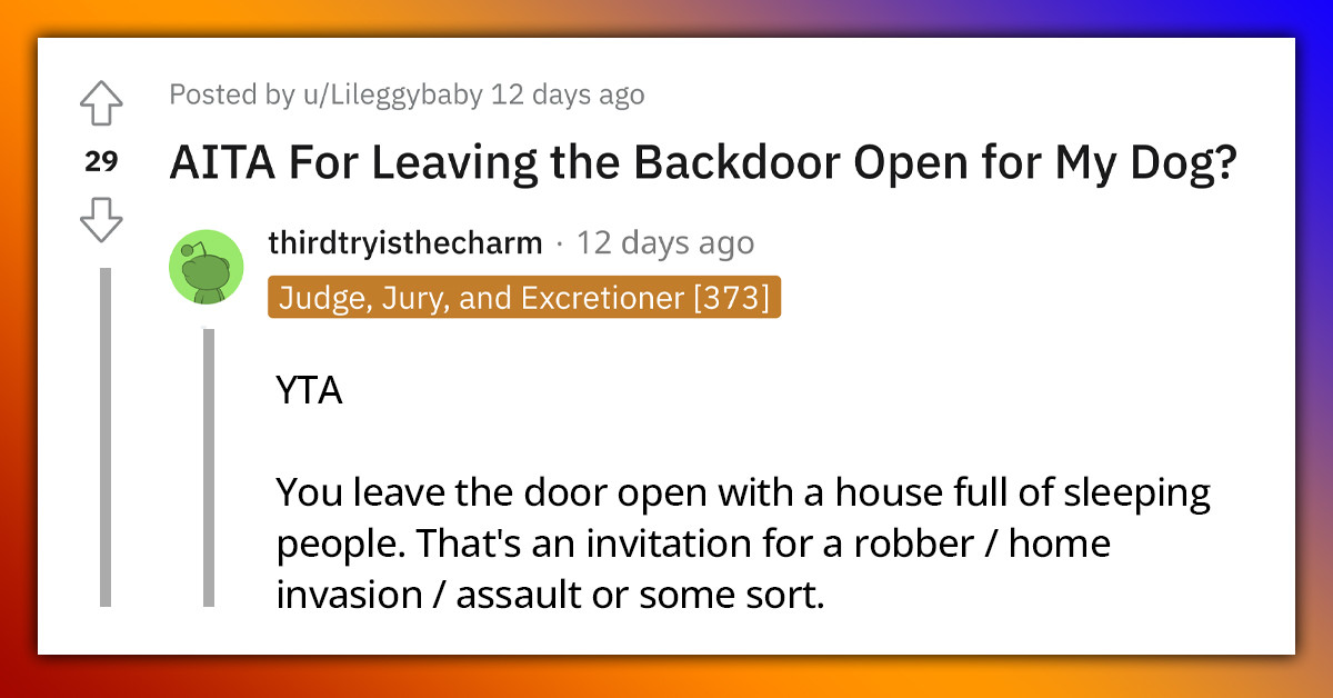 Redditor Leaves Backdoor Open For Their Dog, And The Roommates Are Not Happy About It