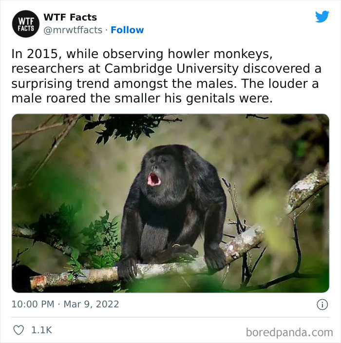 20. Check out this bizarre fact