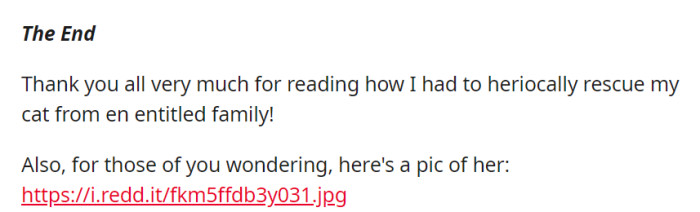 OP concludes their tale, thanking readers for following their heroic cat rescue, and shares a picture of their beloved cat, Turbo.