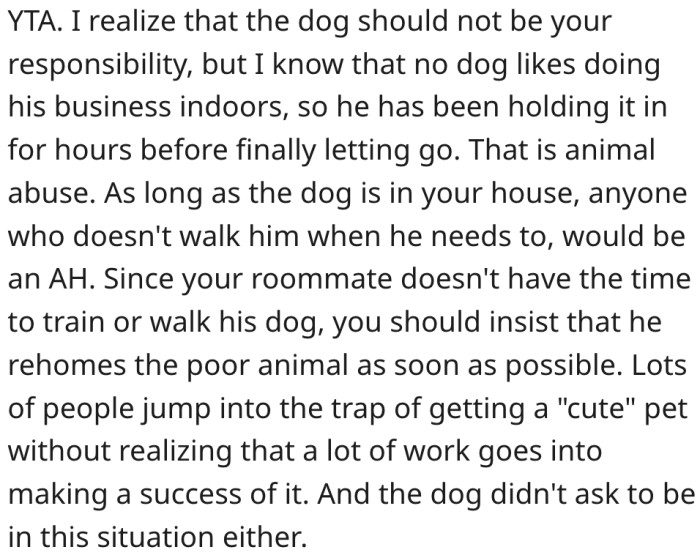 11. He's responsible for the dog's care because they live together.