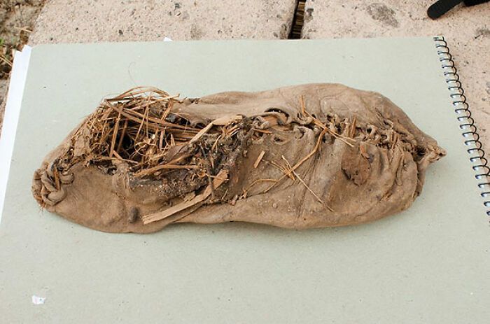 14. The World's Oldest Shoe, Dating Back 5,500 Years, Was Discovered.