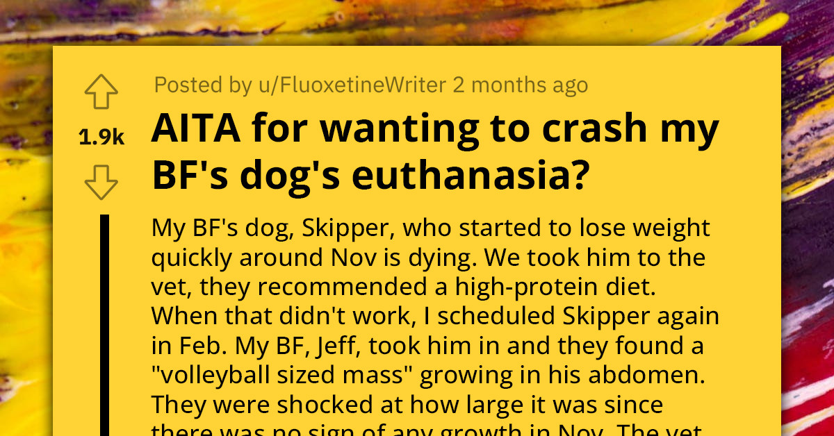 Redditor Wants To Crash Their Boyfriend's Dog's Euthanasia Appointment