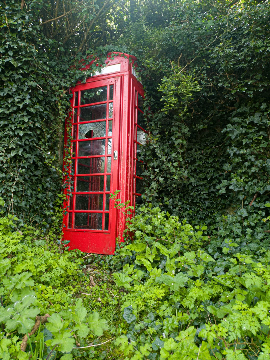 1. “Red telephone box, West Sussex.”