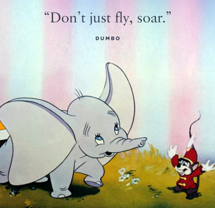 26. This means a lot—coming from a cute elephant!