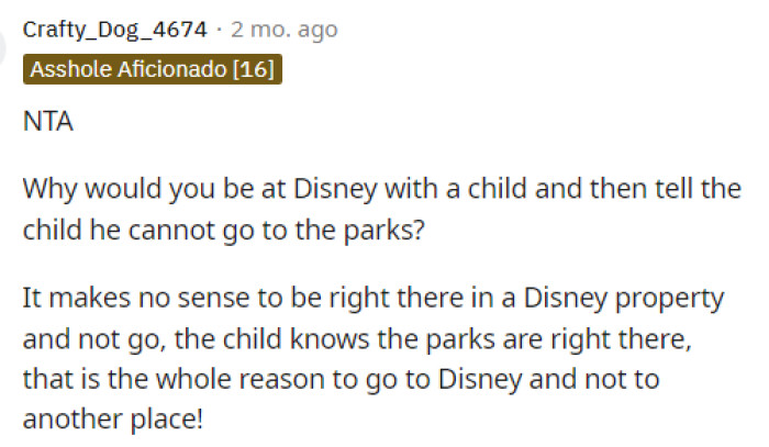 This comment alone perfectly captures what we are all thinking, as we're not really sure why they would bring a child and then not go to Disney.