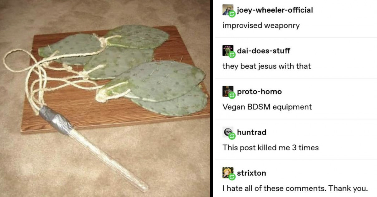 Random Tumblr Replies That Turned The Most Boring Posts Into Something Hilarious