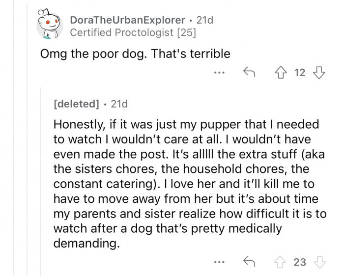 OP doesn't mind taking care of the dog as long as no extra chores are attached to it.