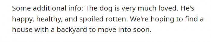 Lucky dog! (Wait, the dog’s name isn’t 