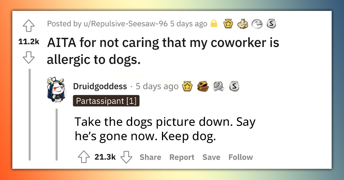 Redditor Receives A Demand From Their Coworker To Give Up Dog They Keep At Home Because It Is Causing Their Allergy Attacks At Work