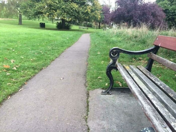 "Hidden pug."