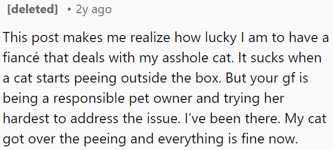 Dealing with a cat that pees outside the box can be challenging, and OP's girlfriend is doing her best as a responsible pet owner to solve the issue.