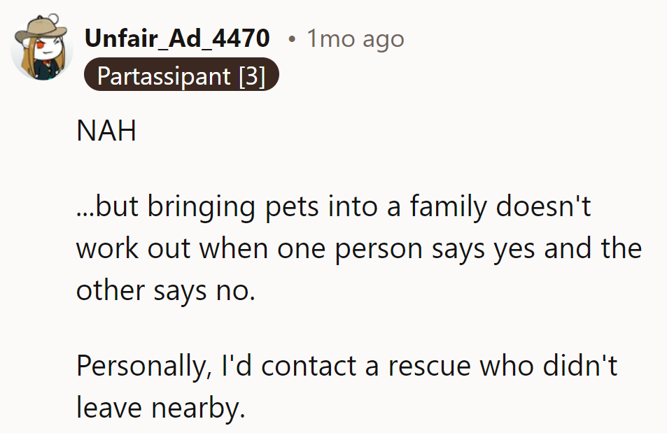 When it comes to pets, it's a game of 'paws' and cons!