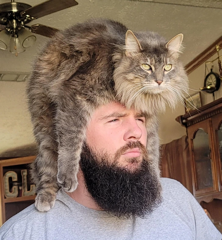 19. “My fancy hat”