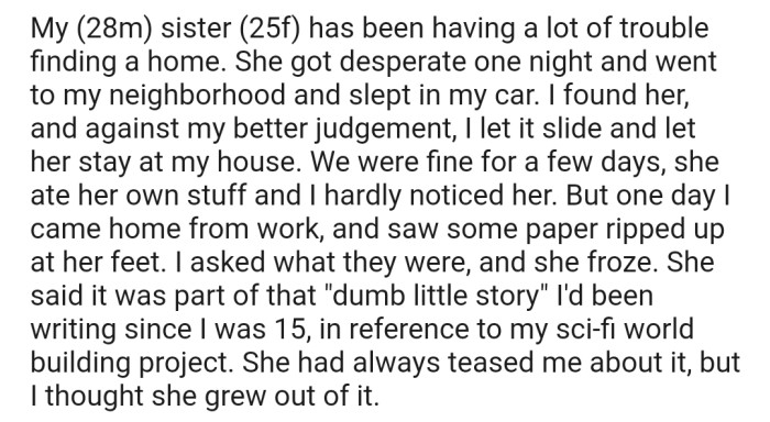 OP decided to house his sister after it became evident that she was struggling to find a roof over her head. Unfortunately, she repaid his gesture by destroying something valuable to him.