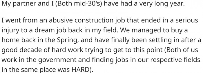 OP and their partner have had a very demanding year