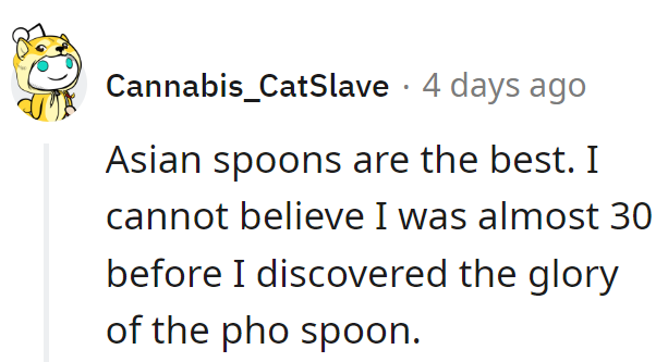 Better late than never! Welcome to the pho-nomenal spoon revolution.