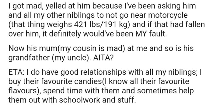 OP ended up yelling at her little cousin. Now, the entire family has ganged up against her