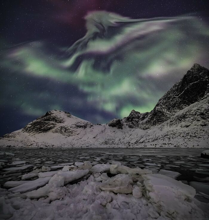 “Eagle Aurora” By Jennifer Rogers