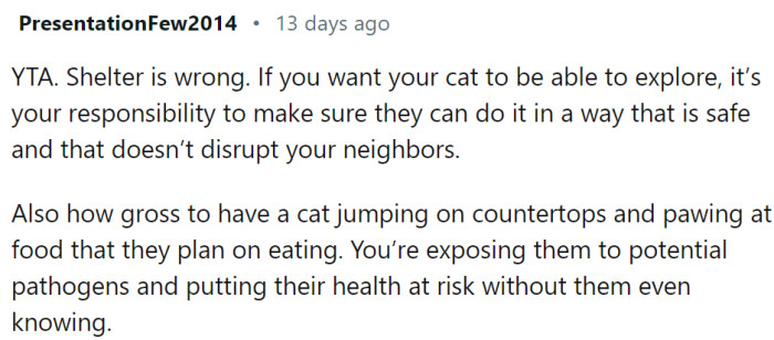 If OP wants the cat to explore, they have to make sure it is safe for it and others