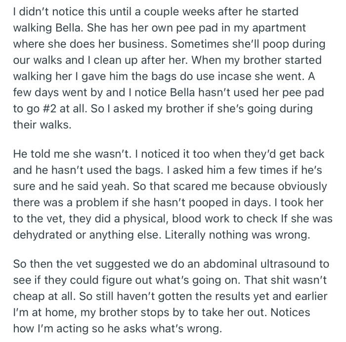 OP had to take his dog to the vet after his brother confirmed that she hasn’t pooped in days