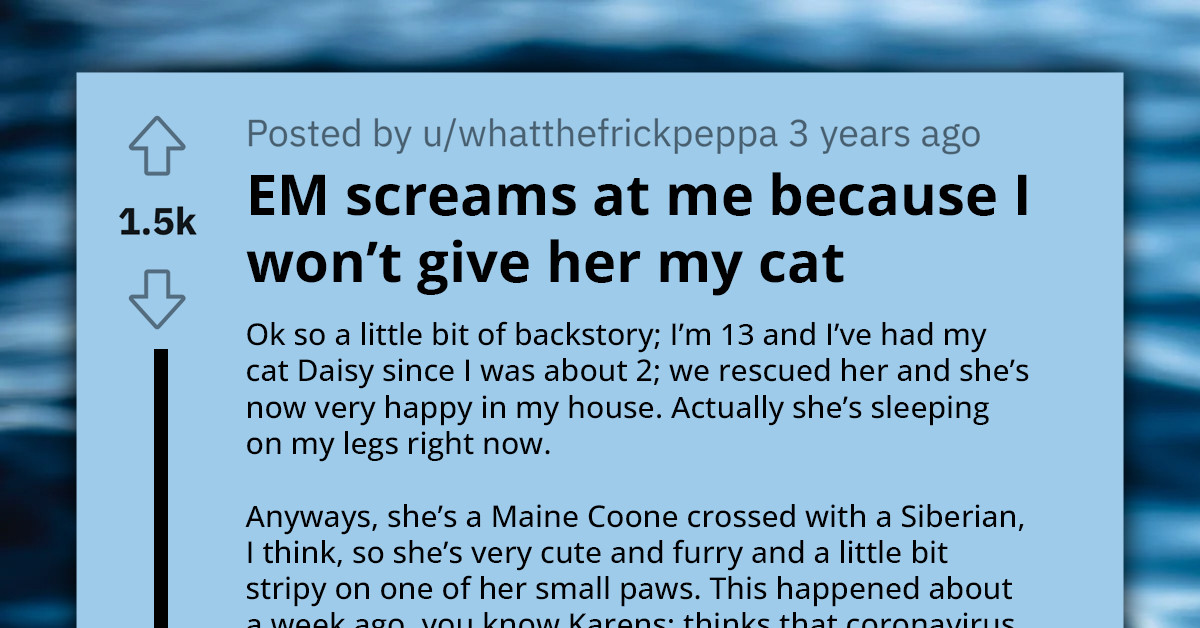 Redditor Gets Screamed At After Refusing To Let Random Entitled Mother Take Their Cat